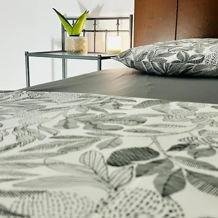 Refugio Carapita, Local Em *