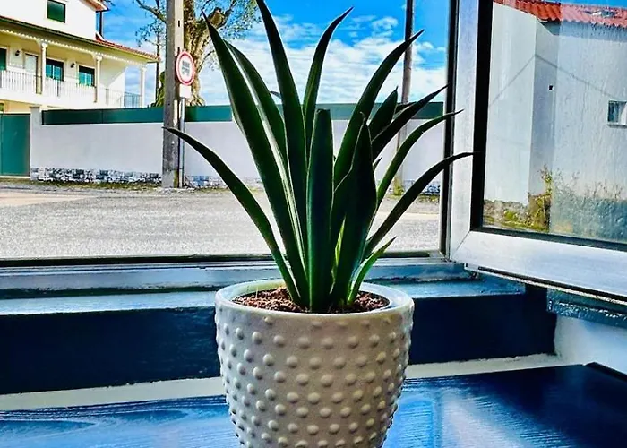 Refúgio Carapita, Local Em * Ourém